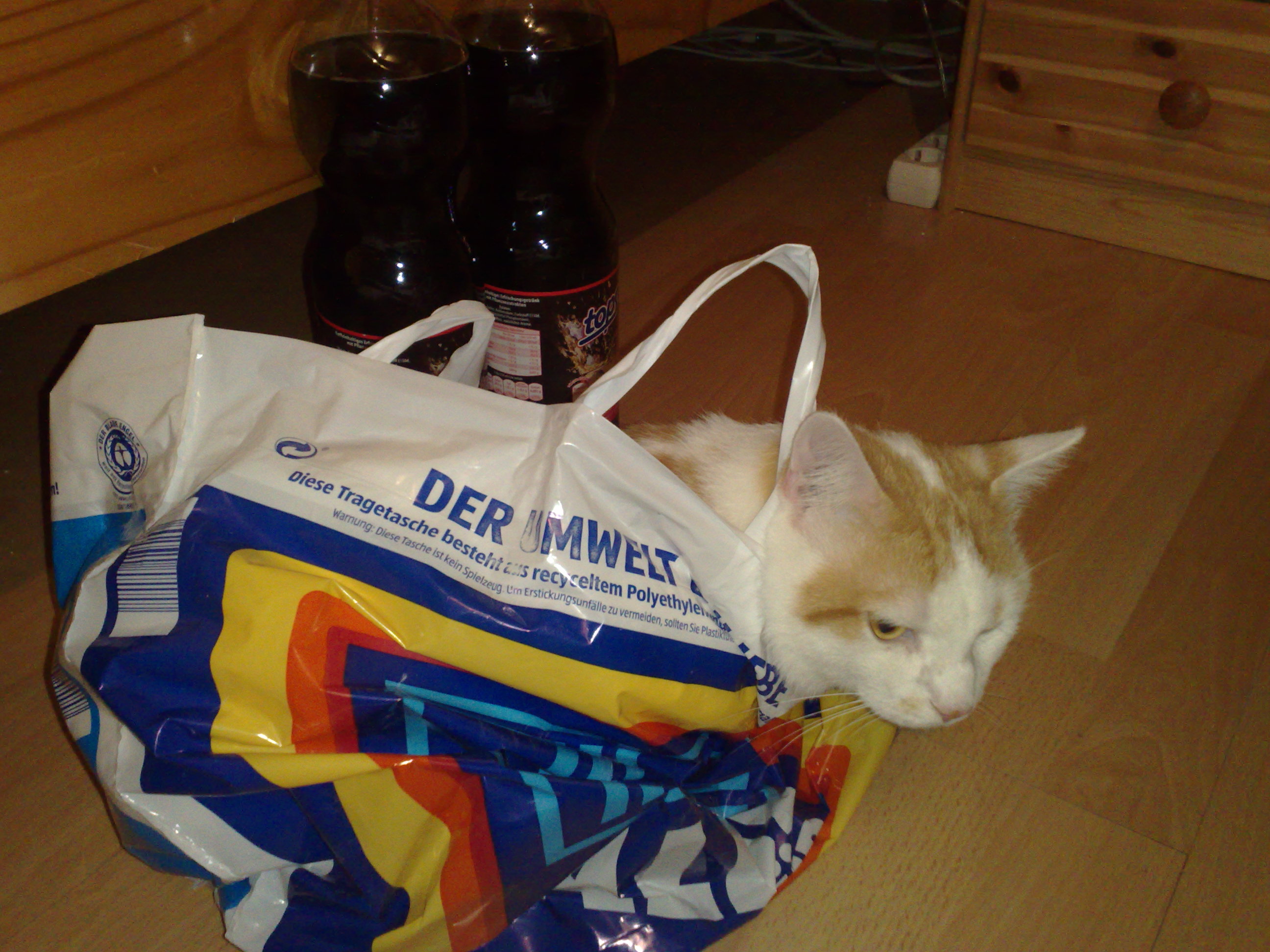 Katze im Sack^^